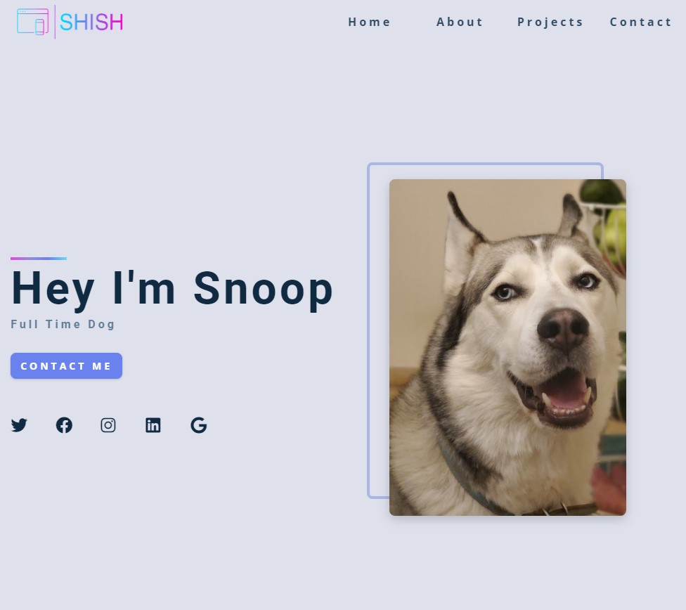 Portfolio